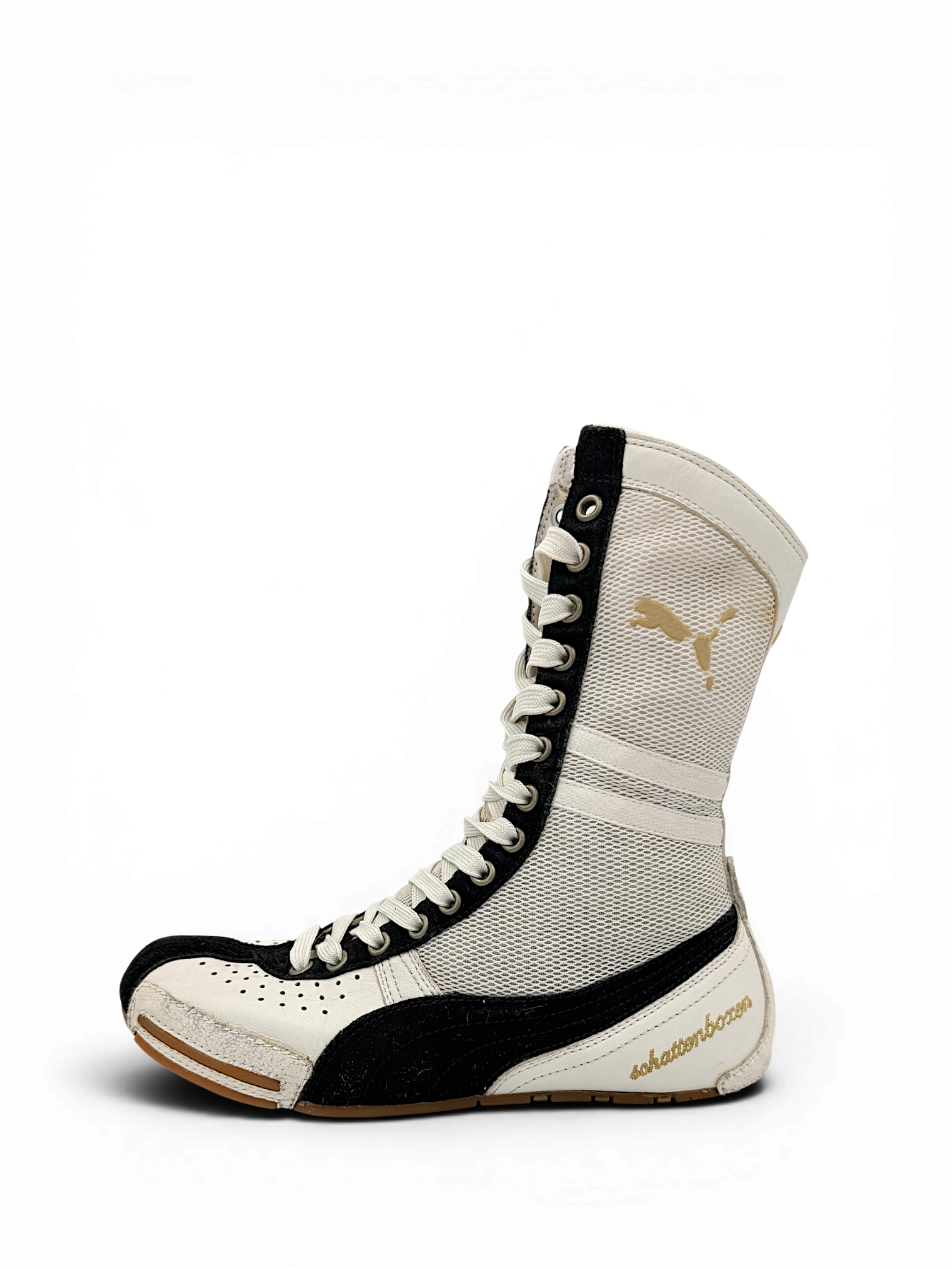 Puma Schattenboxen