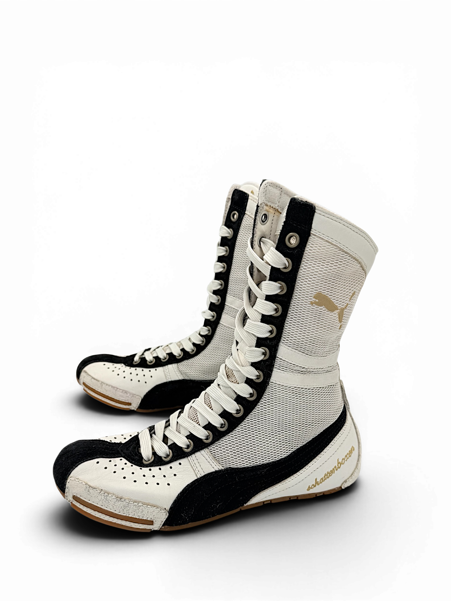 Puma Schattenboxen