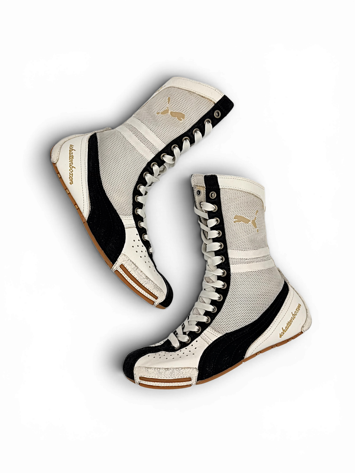 Puma Schattenboxen